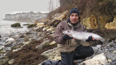 Atlantinė lašiša, 2,5 kg — Baltijos jūra