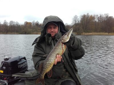 Lydeka, 1,8 kg
