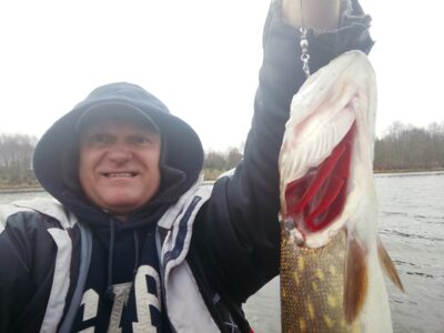 Lydeka, 1,0 kg