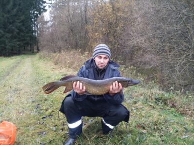Lydeka, 4,0 kg — Gojaus