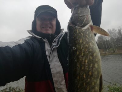 Lydeka, 1,1 kg