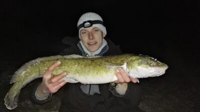Vėgėlė, 2,7 kg — Nemunas