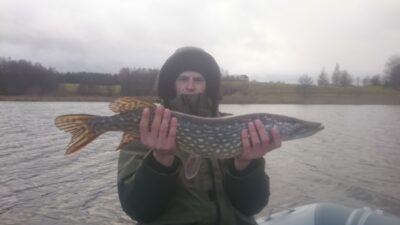Lydeka, 3,0 kg — Kunigiškių