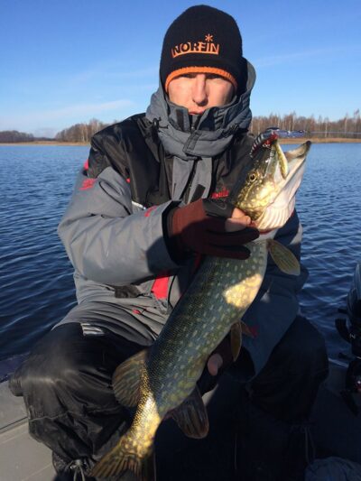 Lydeka, 2,5 kg