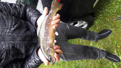 Margasis upėtakis, 0,9 kg