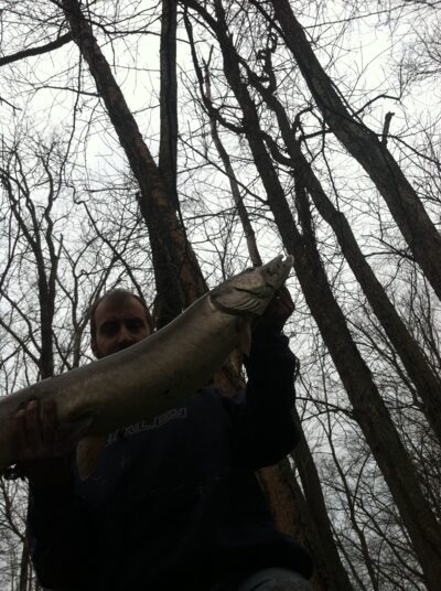 , 6,8 kg — Clear Fork