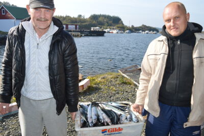 Skumbrė, 24,9 kg — Norvegijos jūra