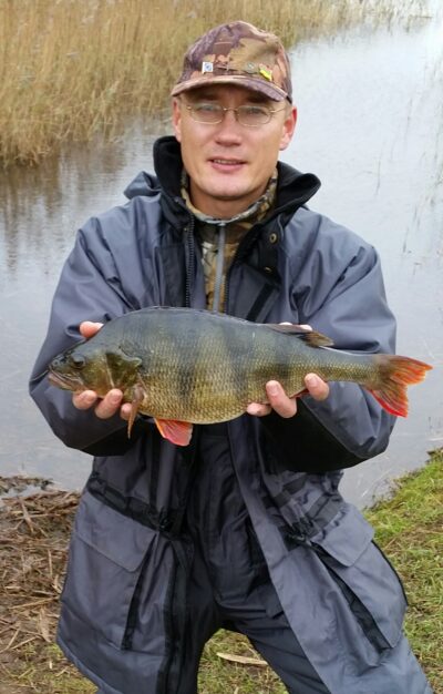 Ešerys, 1,7 kg