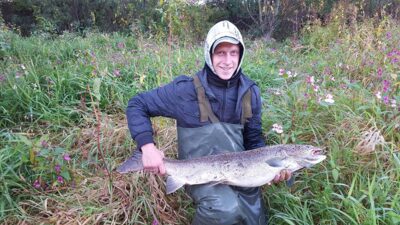 Atlantinė lašiša, 12,0 kg