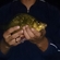 Auksinis karosas