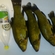 Lynas