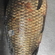 Sidabrinis karosas