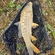 Paprastasis karpis