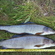 Kiršlys