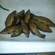Lynas