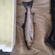 Ferox trout