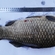 Sidabrinis karosas