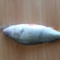 Ešerys