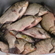 Sidabrinis karosas