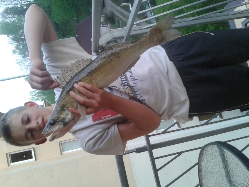 Starkis