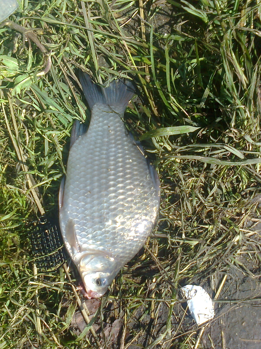 Sidabrinis karosas