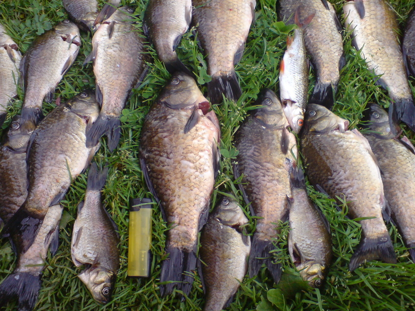 Sidabrinis karosas