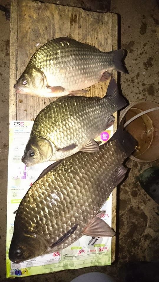 Sidabrinis karosas