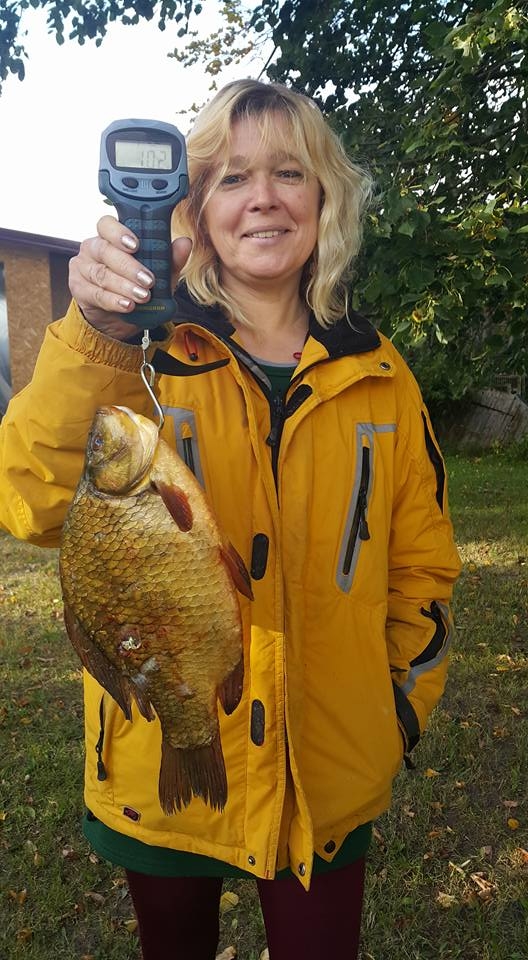 Auksinis karosas