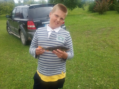 Dryžuotasis ešerys