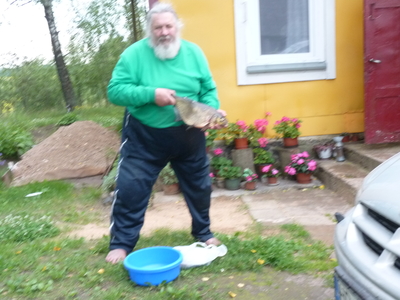 Karšis