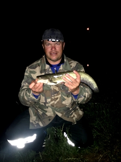 Paprastasis gerklažiotis šamukas