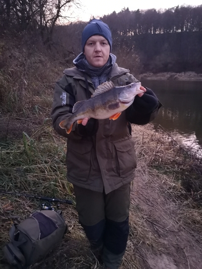 Dryžuotasis ešerys