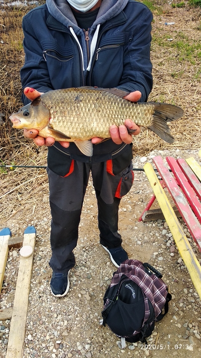 Sidabrinis karosas