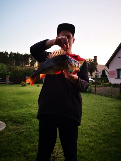 Ešerys