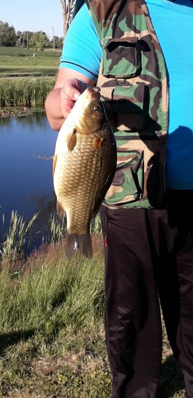 Sidabrinis karosas