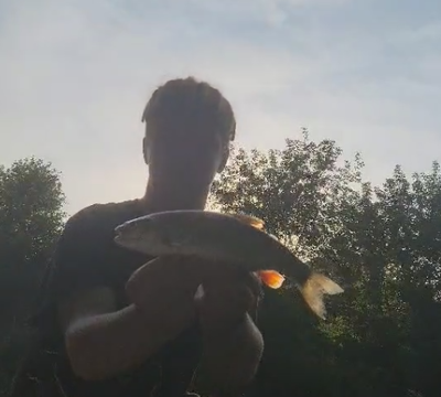 šapalas