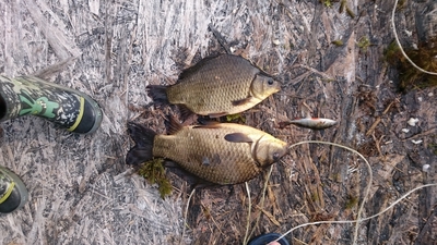 Sidabrinis karosas