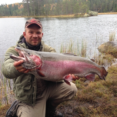 Vaivorykštinis upėtakis