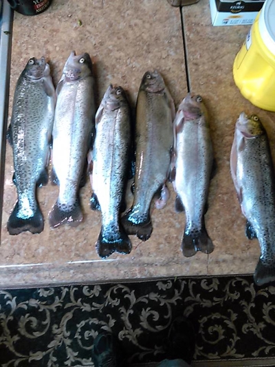 Vaivorykštinis upėtakis