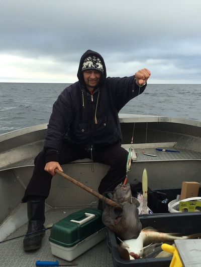 Paprastoji vilkžuvė