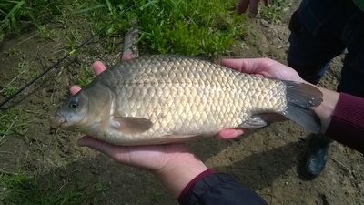 Sidabrinis karosas
