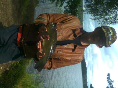 Lynas