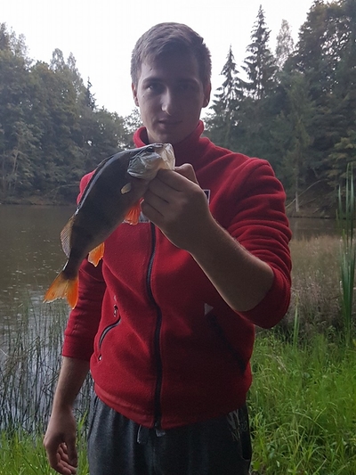 Ešerys