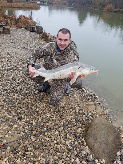 Žvaigždėtasis eršketas