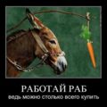 AleksandrP