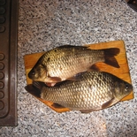 Žvejas(-ė) pusle