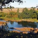 Žvejas(-ė) bratka22