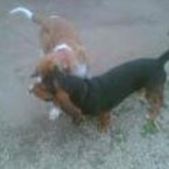 Žvejas(-ė) lukasjiupi