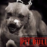 Žvejas(-ė) gytis000