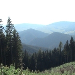 Žvejas(-ė) b.vytas